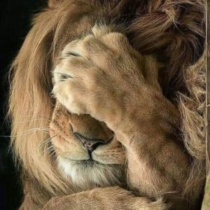 Meet your Posher, Antonio